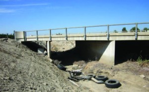Cameron Creek near Rd 148 before being cleaned up. Courtesy/Tulare County