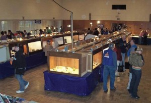 Visitors view the various gem showcases at a former Tule Gem and Mineral Show. Courtesy/Tule Gem and Mineral Society