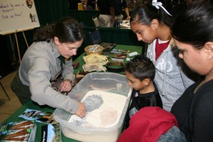 Kids’ Festival 2014 will include hands-on science events.