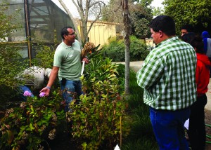 Monrovia Nursery’s Orlando Bejar leads students on a tour of VTEC’s arboretum, which was developed over many years by the College of the Sequoias agricultural programs. VTEC is one of the county’s leading proponents of Project Based Learning. The VTEC students are documenting the plants in the garden and developing a website describing the characteristics and care of each.