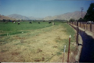 The view from the Mortons’ property before Stillwell mining operations began.