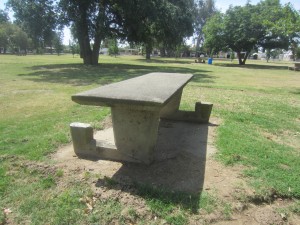 Picnic areas are diminishing at Mooney Grove park. Photo by Catherine Doe