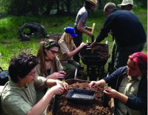 Students from Sequoia High, Visalia’s alternative education school, prepare Sequoia seedlings for transplant during a field trip to Sequoia National Park. A partnership between the school and the National Park Service is helping engage students’ interest in education and improve their self-confidence. Courtesy photo