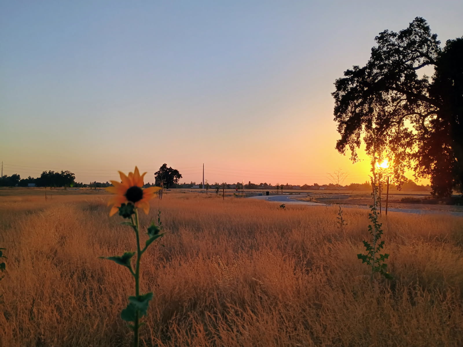 Comment on Visalia Parks & Rec’s new master plan faces funding puzzle by Nancy Granillo